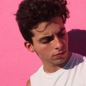 tyler lacona tyler lacona