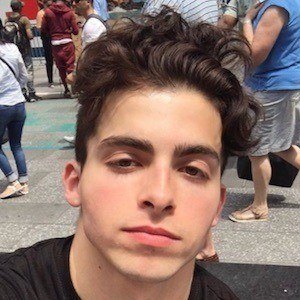 tyler lacona tyler lacona