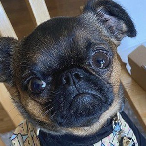 Walter the Griff Headshot 7 of 10
