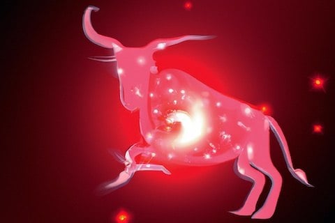 Taurus Sign