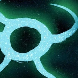 coley_jens - Bio, Family | Famous Birthdays