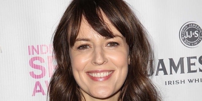 Rosemarie DeWitt - Age, Family, Bio | Famous Birthdays