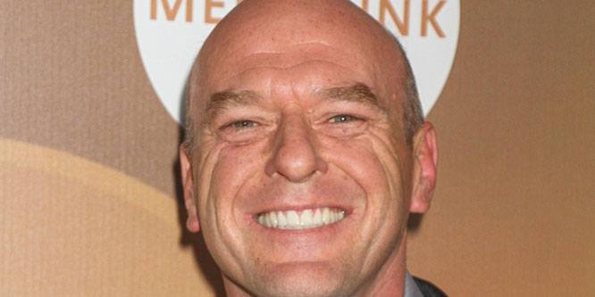 Dean Norris Biography, Celebrity Facts and Awards - TV Guide