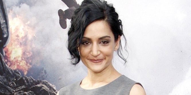Archie Panjabi - Age, Family, Bio | Famous Birthdays