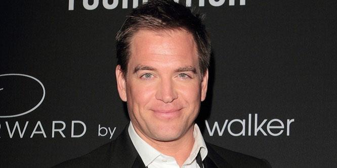 Michael Weatherly - Age, Family, Bio | Famous Birthdays