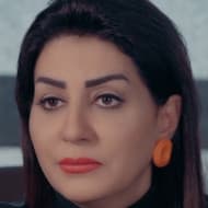 Wafaa Amer
