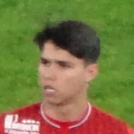 Luiz Araújo