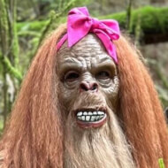 bigfoot_bae