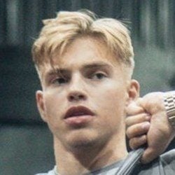 Stars d'Instagram de Suède