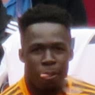 Wilfried Gnonto