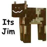 ItsJim