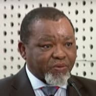 Gwede Mantashe