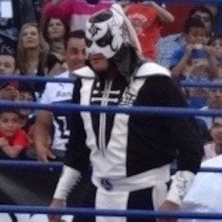 Luchadores nacidos en México