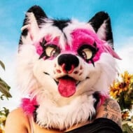 PinkGeminiHusky