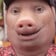 John Pork