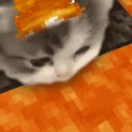 schpood