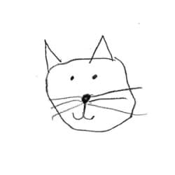 stackofcatz - Age, Bio, Family | Famous Birthdays