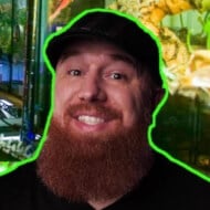 Tarantula Collective