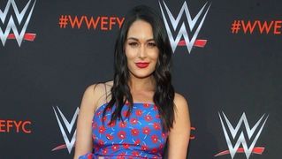 Brie Bella Highlights