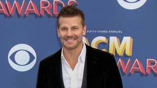 David Boreanaz Highlights