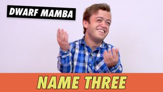Dwarf Mamba - Name 3