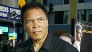 Muhammad Ali Highlights