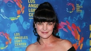 Pauley Perrette Highlights