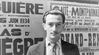 Salvador Dali Highlights