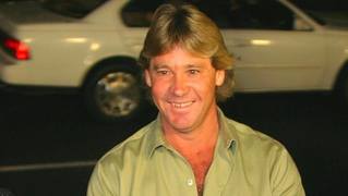 Steve Irwin Highlights