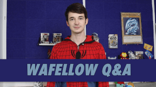 wafellow Q&A