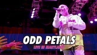 Zach Clayton - Odd Petals (Maryland)