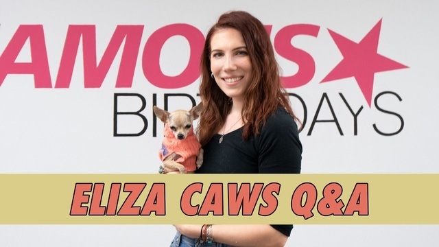 Eliza Caws Q&A