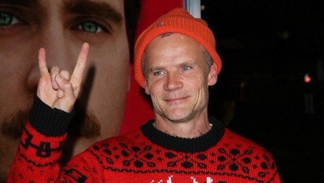 Flea Highlights