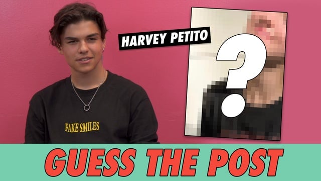 Harvey Petito - Guess The Post