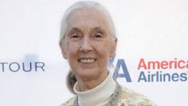 Jane Goodall Highlights