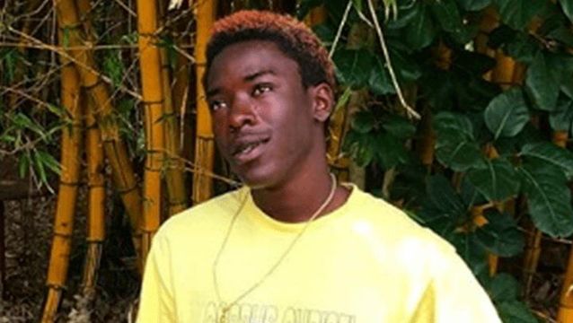 Merlyn Wood Highlights