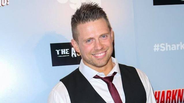 Mike Mizanin Highlights