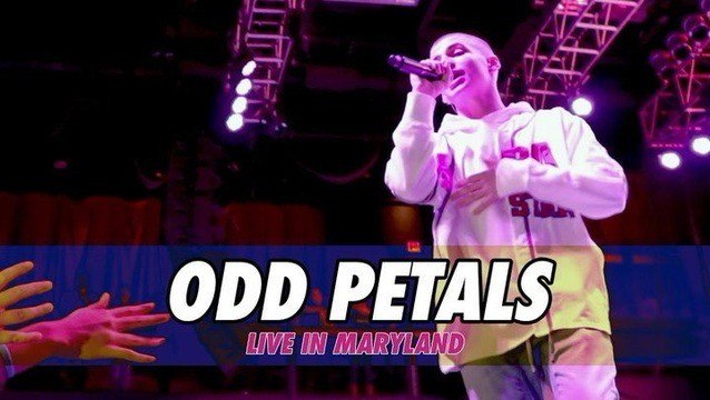 Zach Clayton - Odd Petals (Maryland)