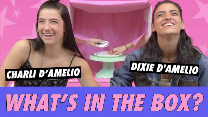 Charli vs Dixie D'Amelio - What's In The Box? | Famous Birthdays