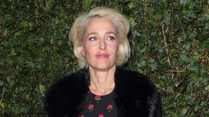Gillian Anderson Highlights | Famous Birthdays